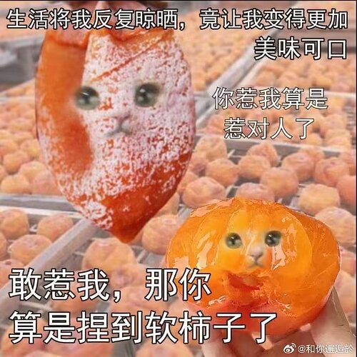 1702660763462
