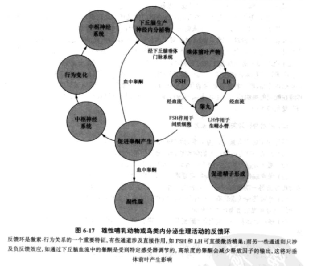 动物行为学（第二版）摘录- 有关Trans的成因的动物学研究- 知识库 