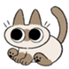 :azukisan_26: