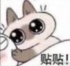 :douni_tietie: